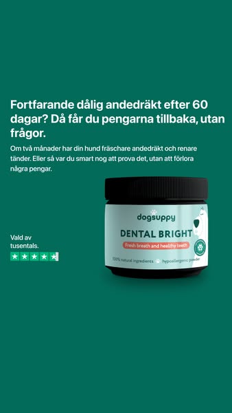 Prova Dental Bright, utan risk.