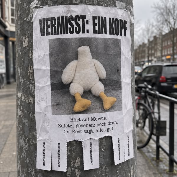 Wer hat diese Ente gesehen?