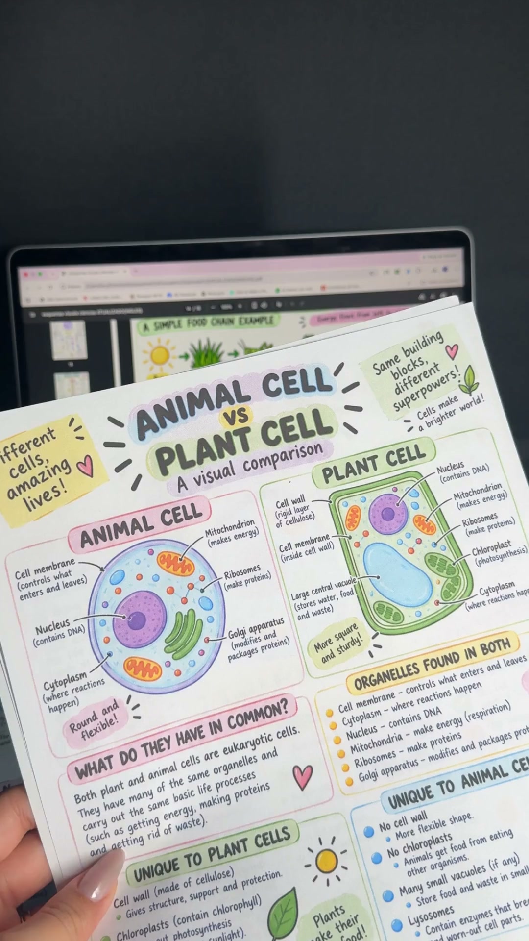 Help Your Students Understand Science More Visually with +200 Illustrated Visual Diagrams