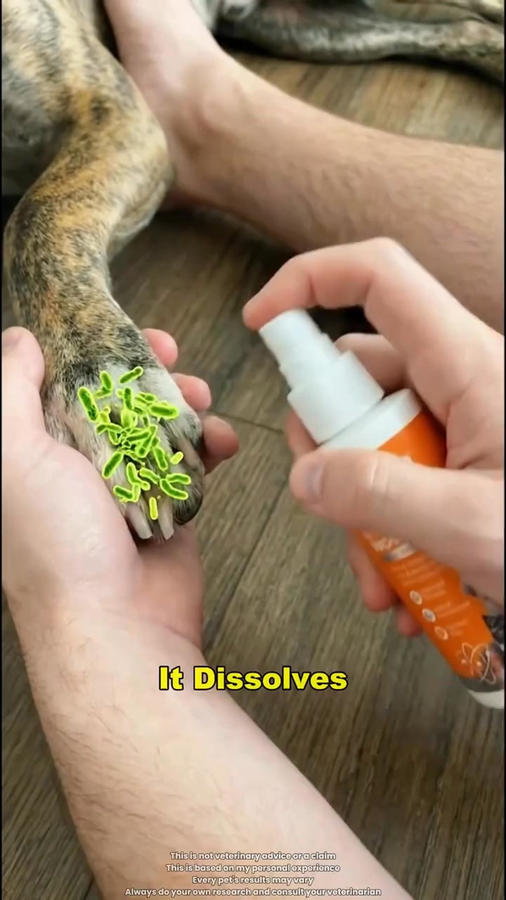 Daily Gentle Care for Lasting Comfort