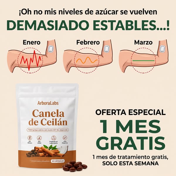 Canela de Ceilán (equivalente a 7200 mg) con aceite MCT
