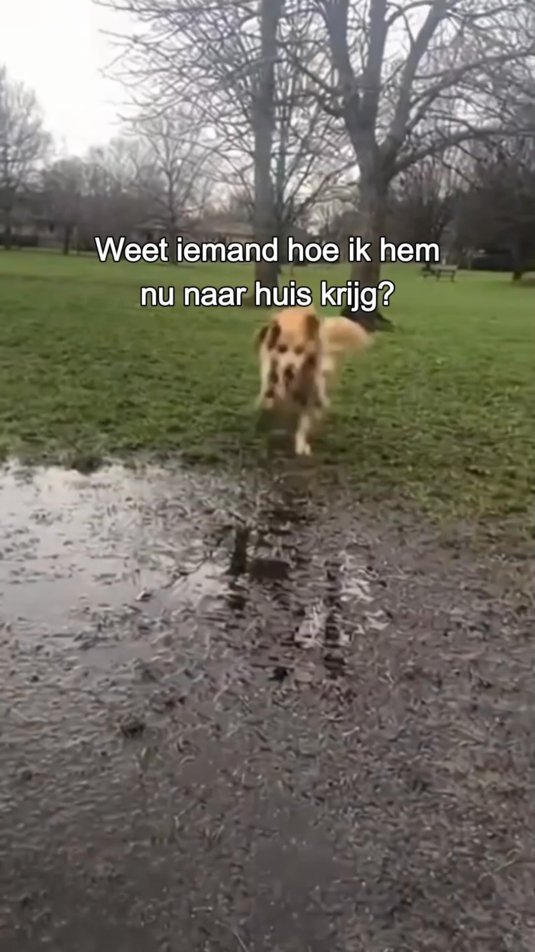 Haren en modder in je auto? Niet meer.