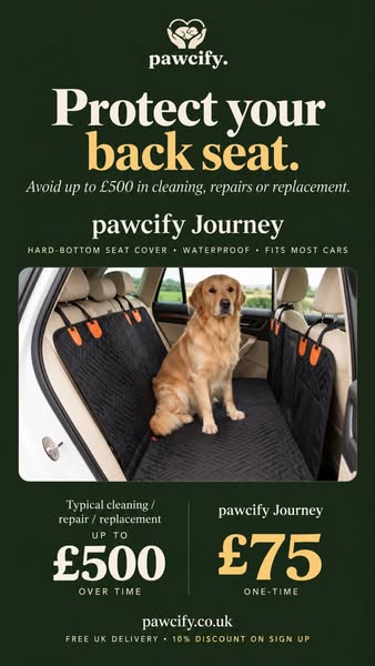 Your back seat, protected
