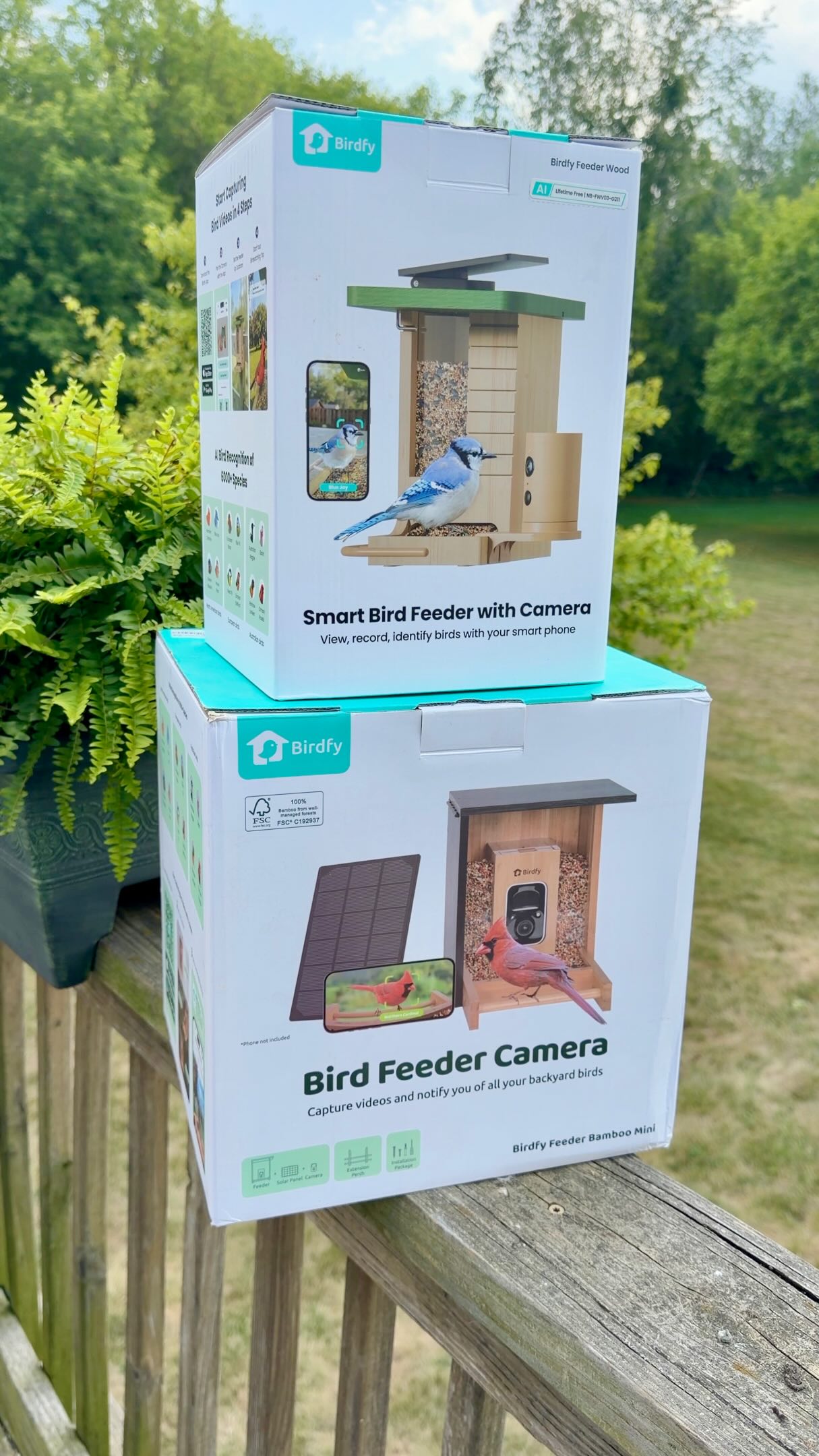Anúncio de Birdfy