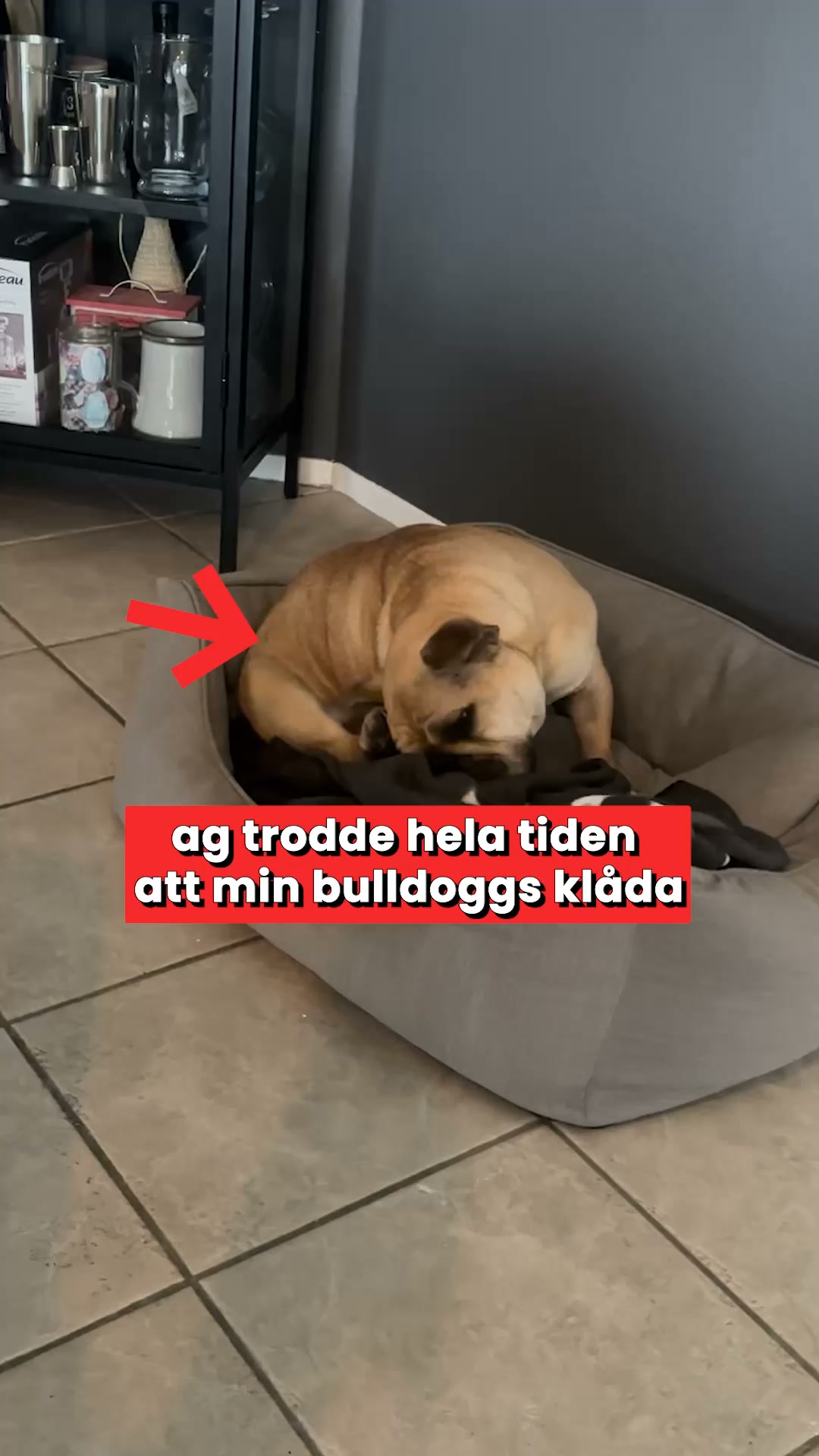 Mer Kliande och Oro När Säsongen Skiftar? Dessa Godbitar Stödjer Inifrån