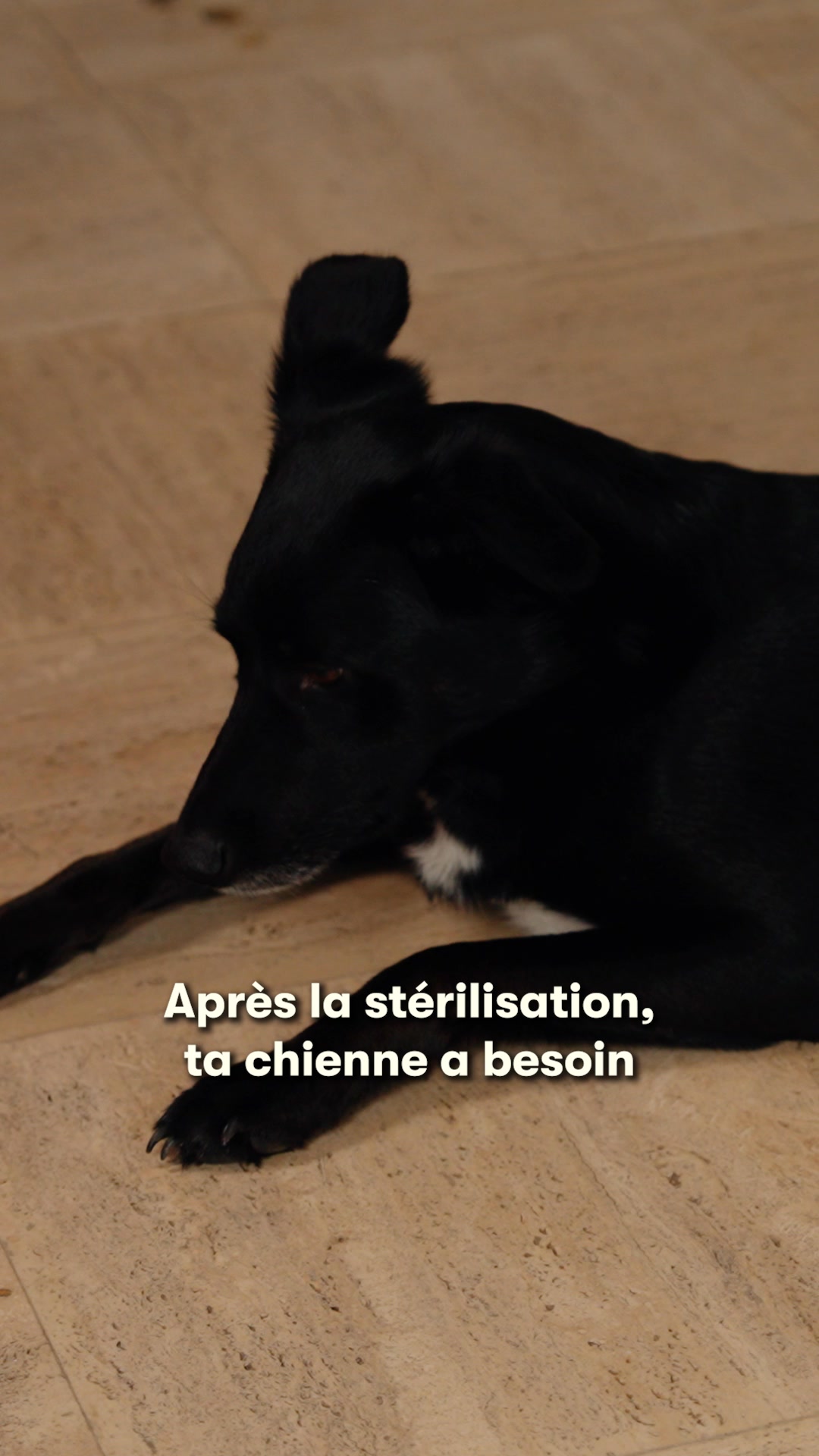 Offrez-lui le meilleur avec 30% de réduction