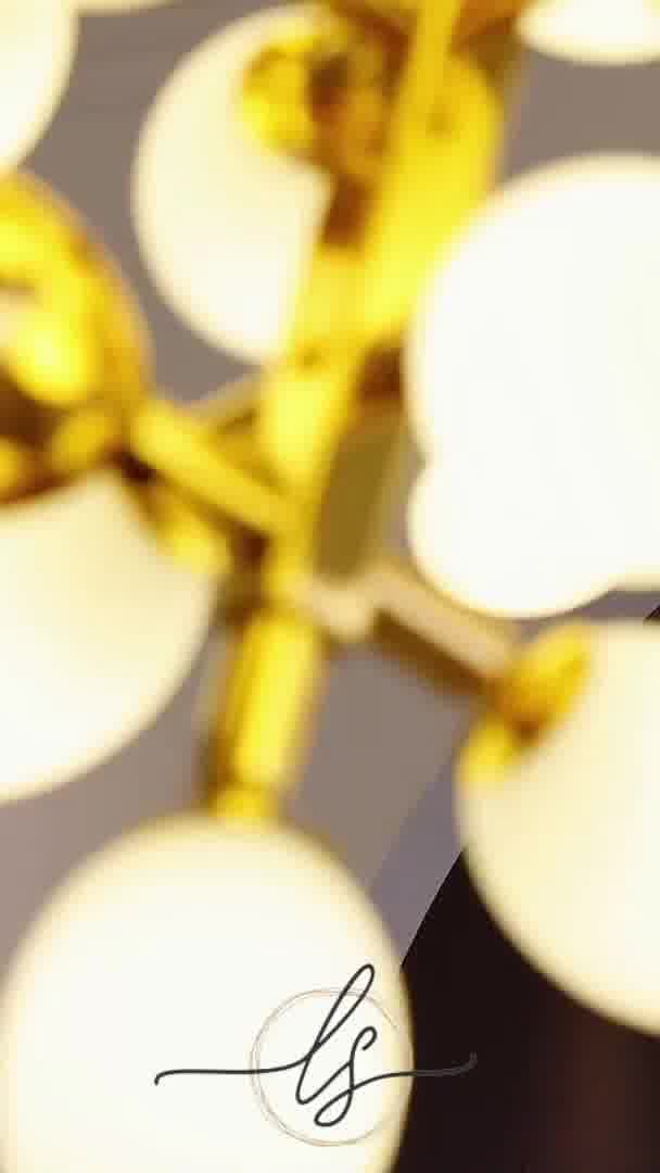 Zygote – Luxury Lighting Redefined