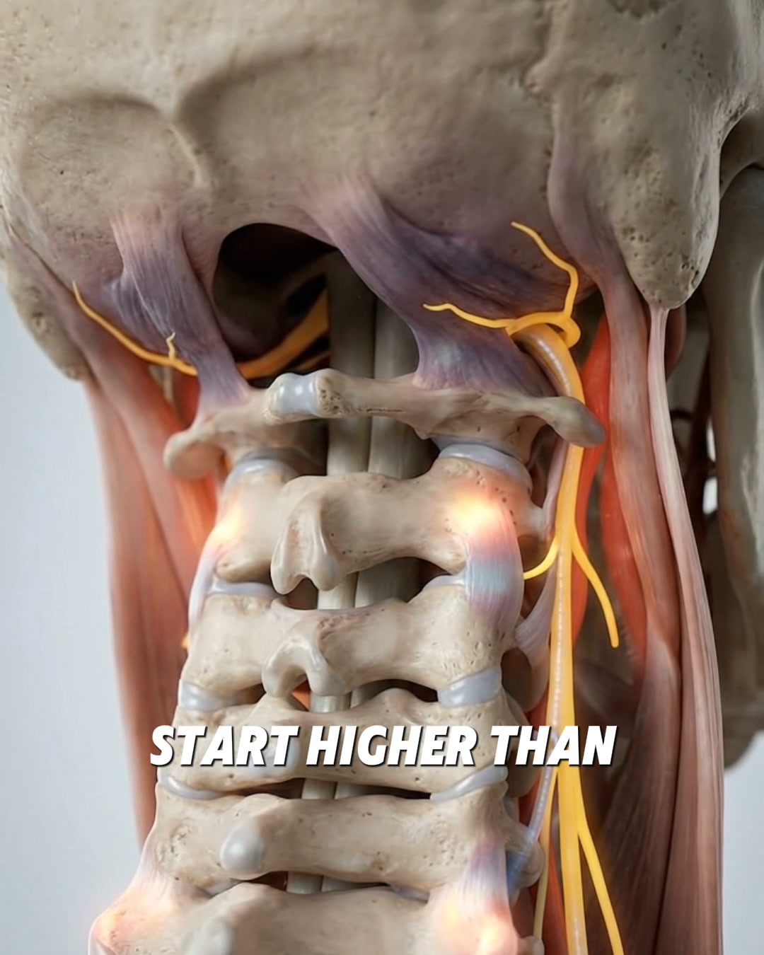 Restore Your Neck. Calm Your System.