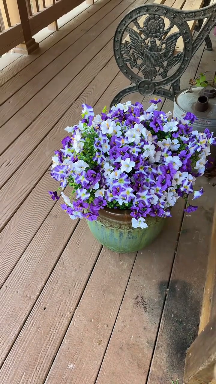 La solution pour un extérieur toujours fleuri