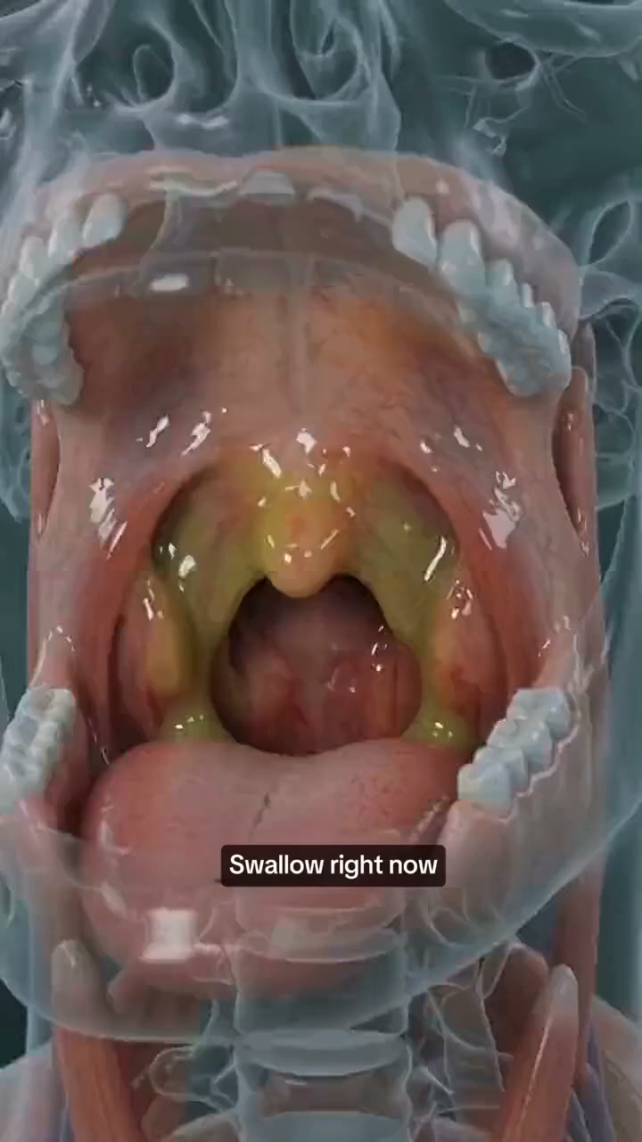 Chemical Sprays Fix It for 4 Hours. Then It Comes Back Worse. This Breaks the Cycle.