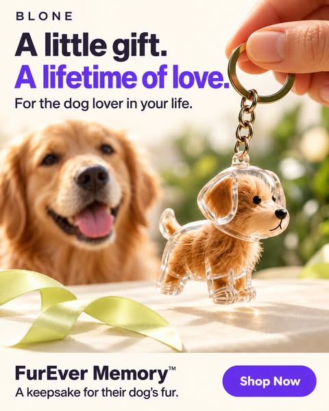 #1 Pet Memory