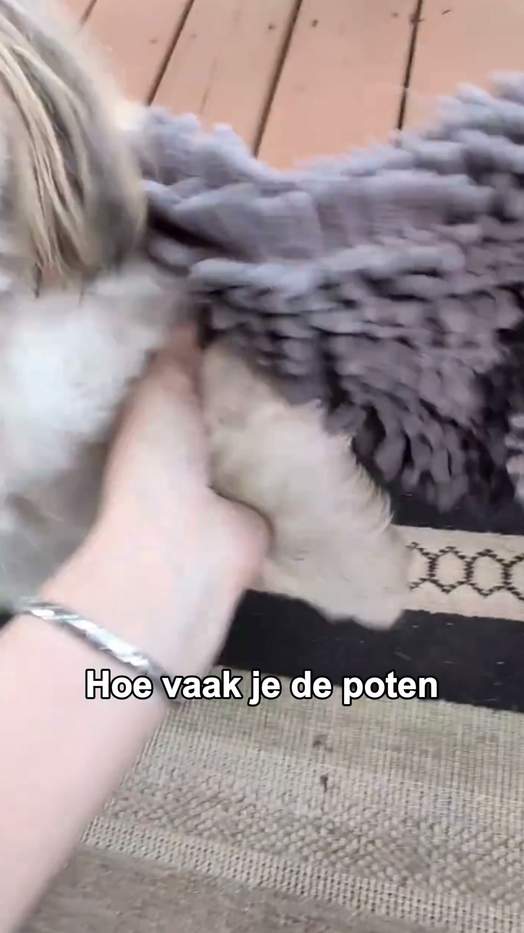 Speciaal voor tussen de pootjes