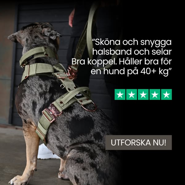 Byggd för hundar som kräver mer.