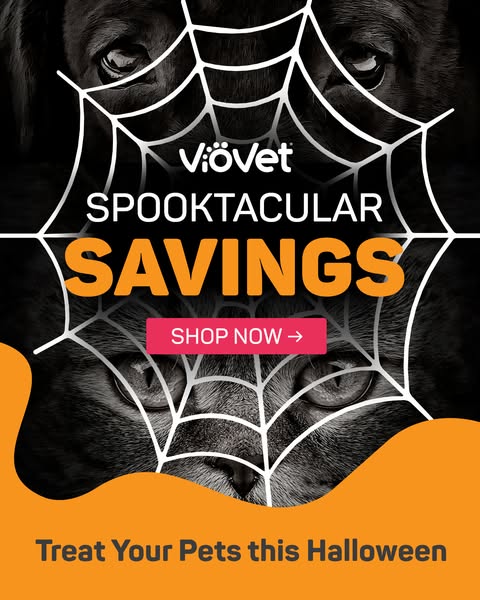 Spooktacular Cat Treats