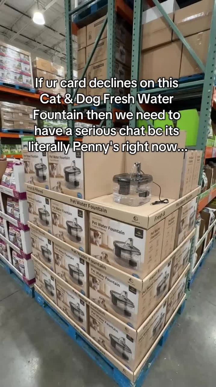 Automatic Cat Water Fountain