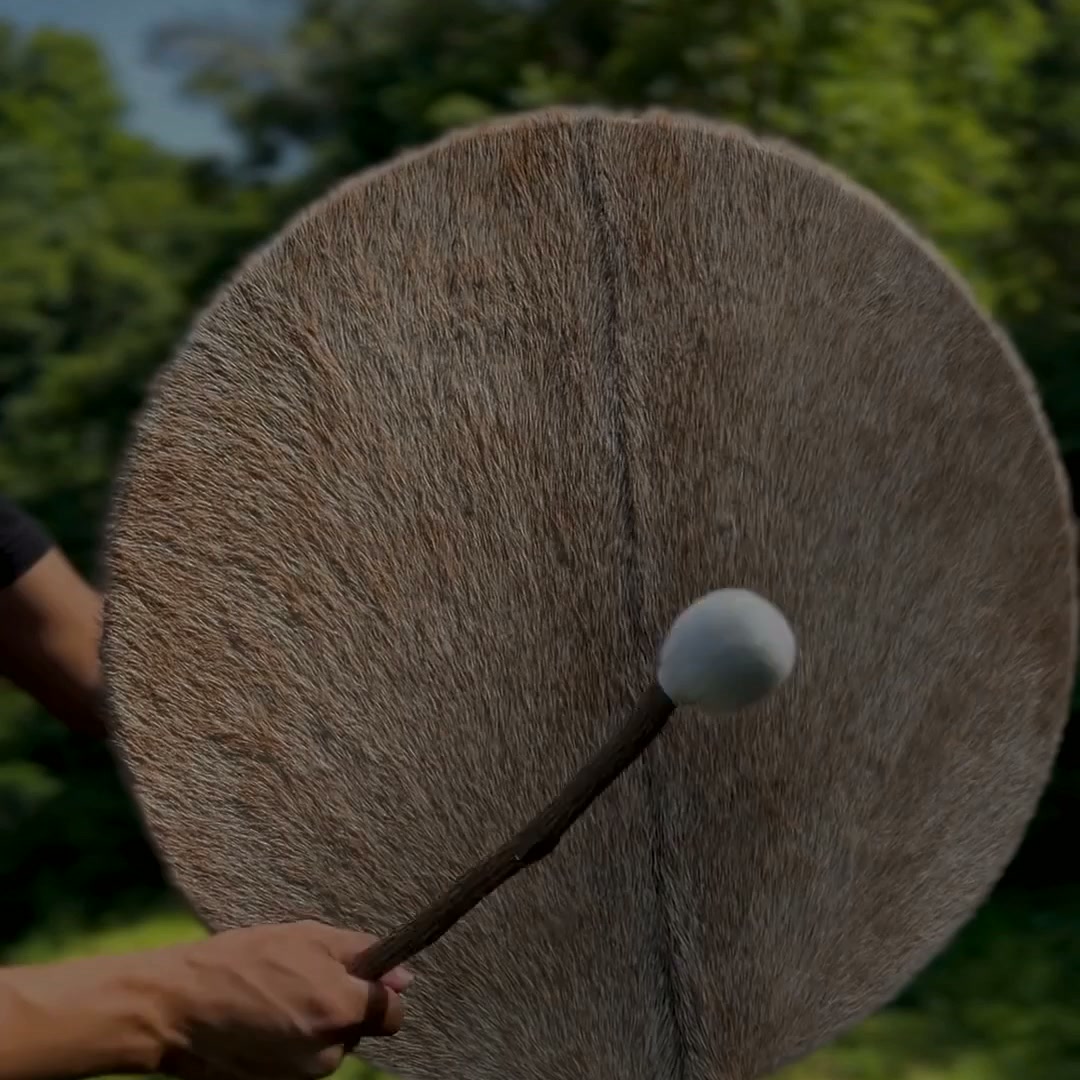 Laatste instrumenten op voorraad