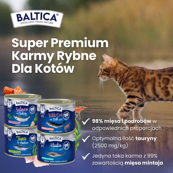 Karmy mokre dla kotów z rybą
