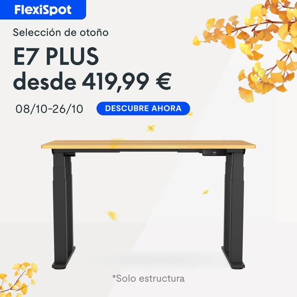 Descubre la colección