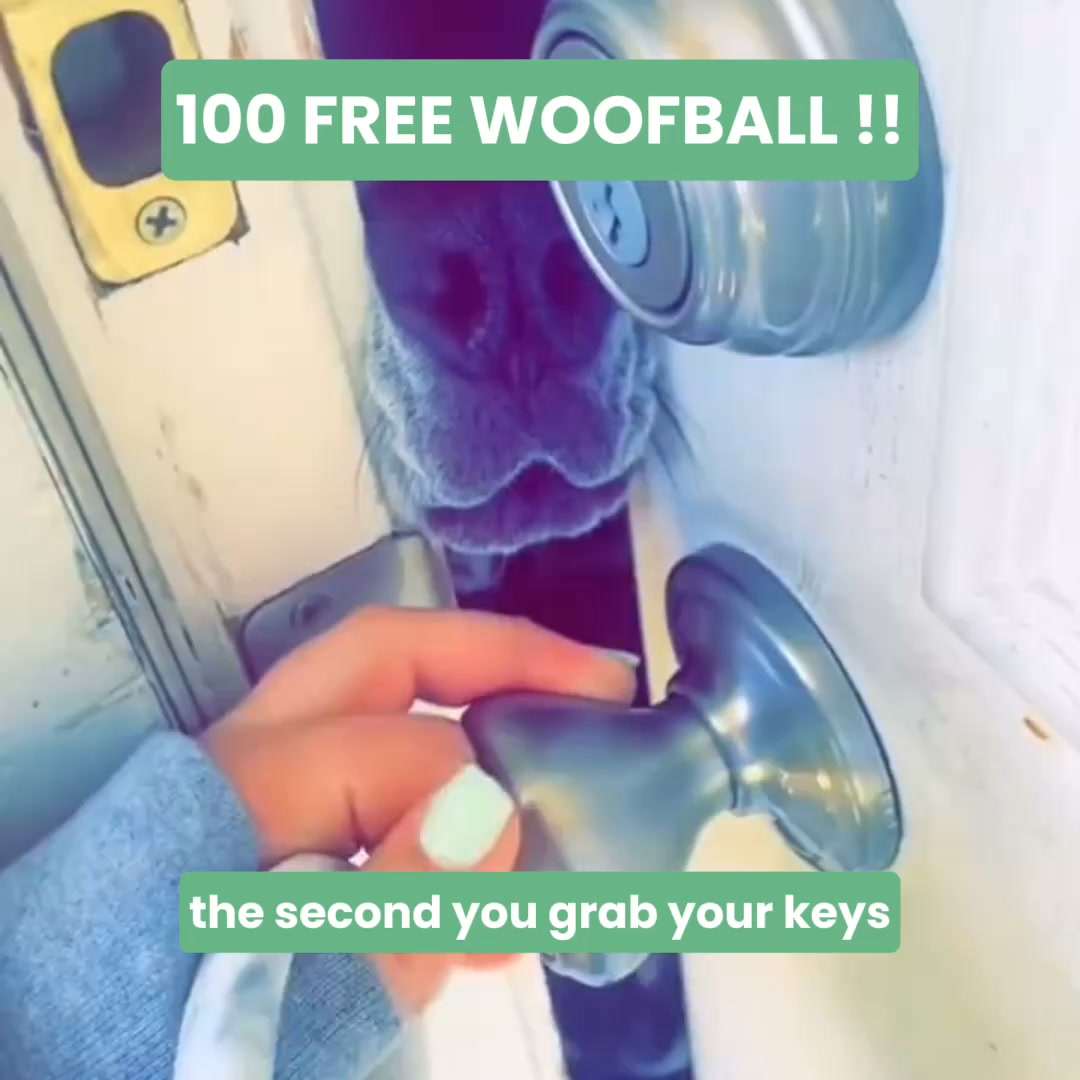 He's not a bad dog — he's bored. 10 min of sniffing tires his brain more than a walk WoofBalls FREE — just cover shipping.