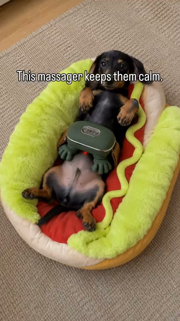 A Spa Day for Your Pet — At Home!