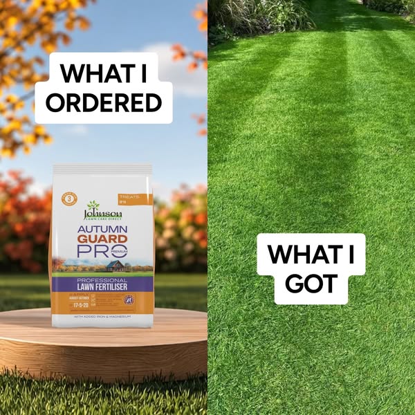 From Brown Patches to a Lush Lawn