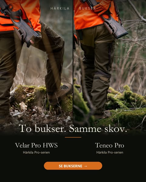 Härkila Velar og Teneo