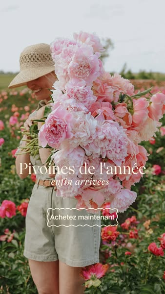 Les pivoines sont arrivées !