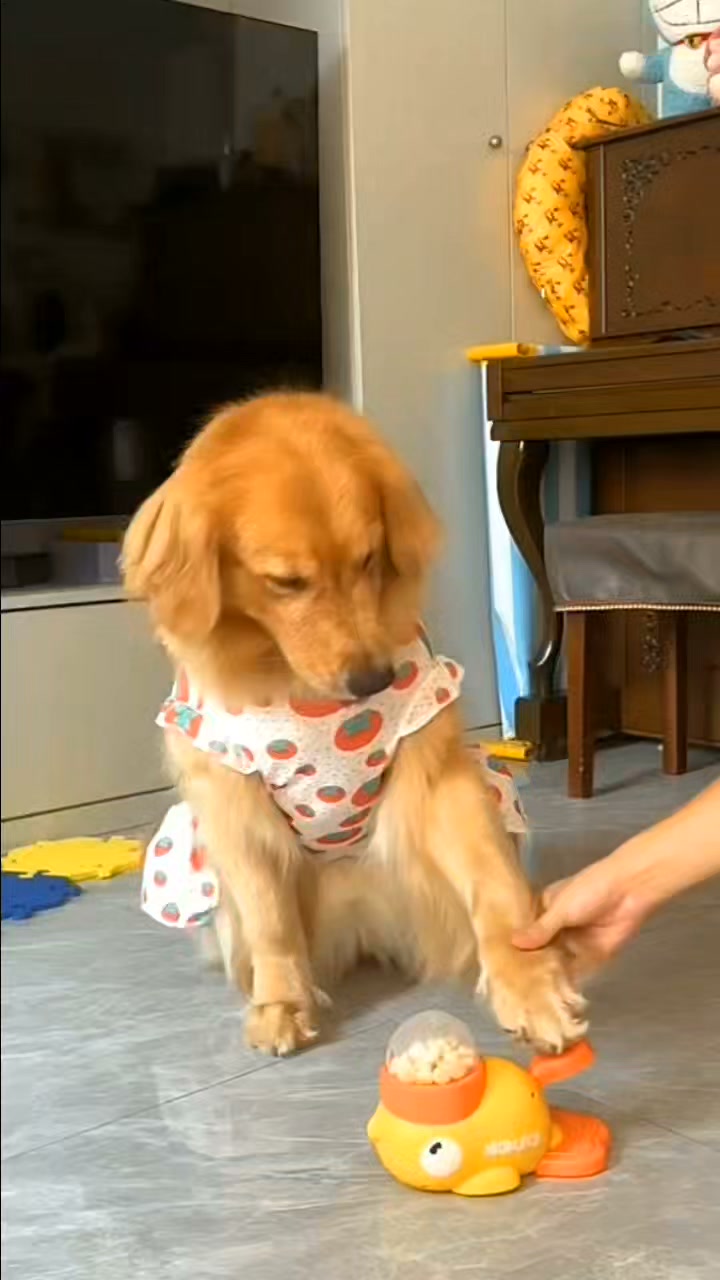 She's Got The Outfits. Now She's Got A Job.