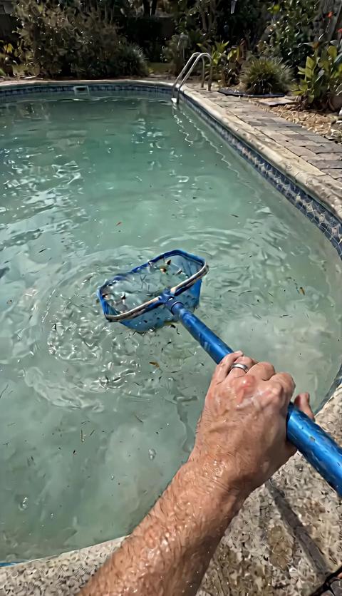 Slow Dissolve Pool Water Purifier