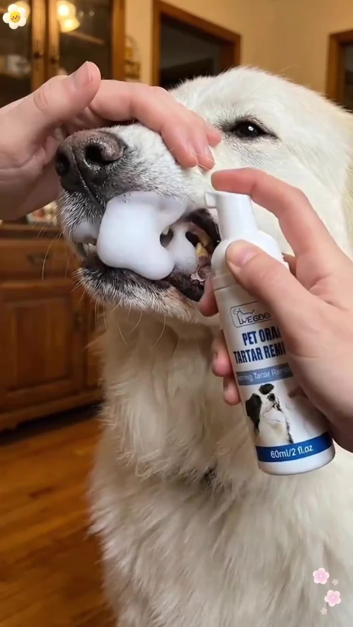 News - Pet Dental Tartar Care Spray