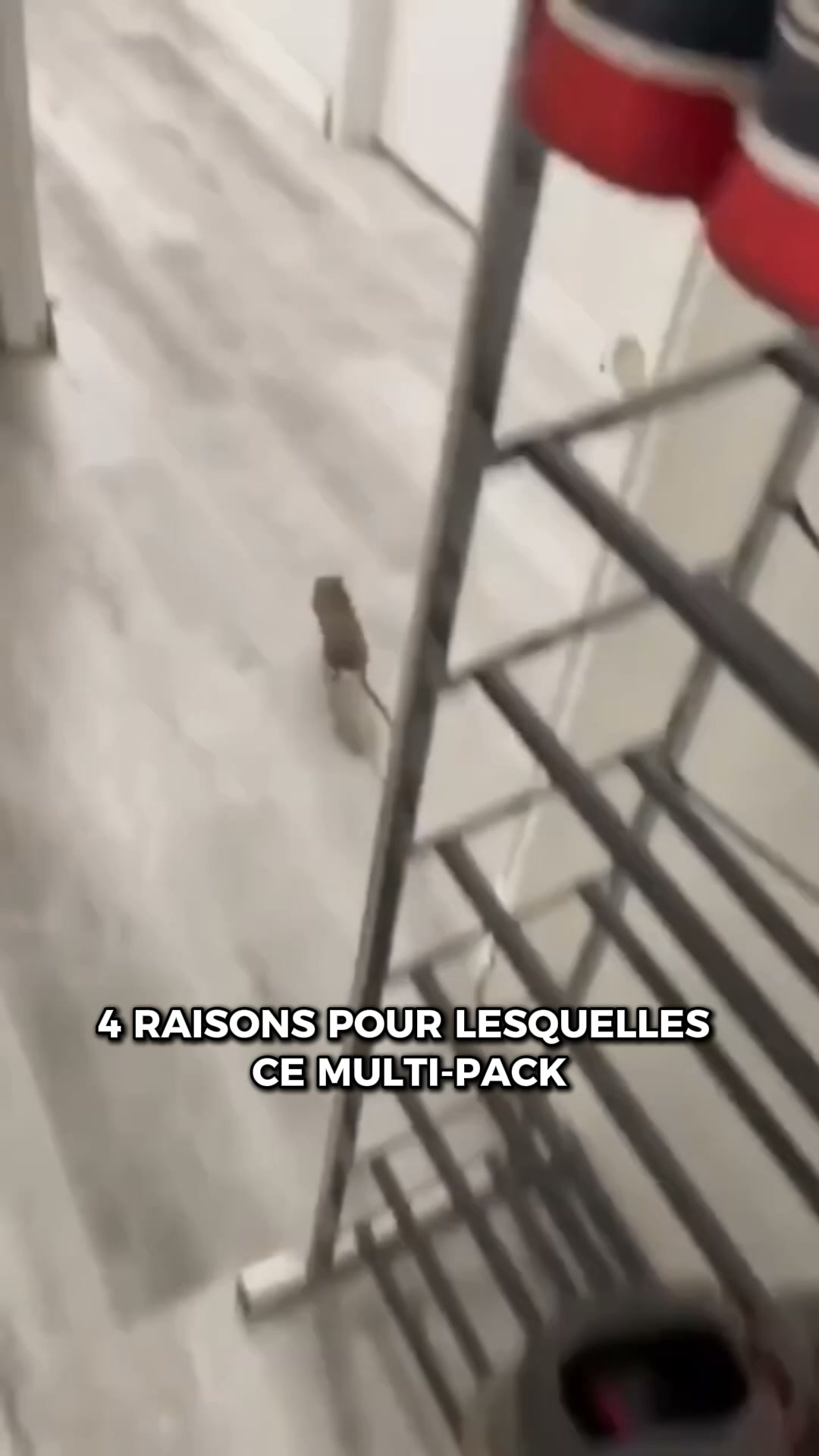 Fini les souris et les rats