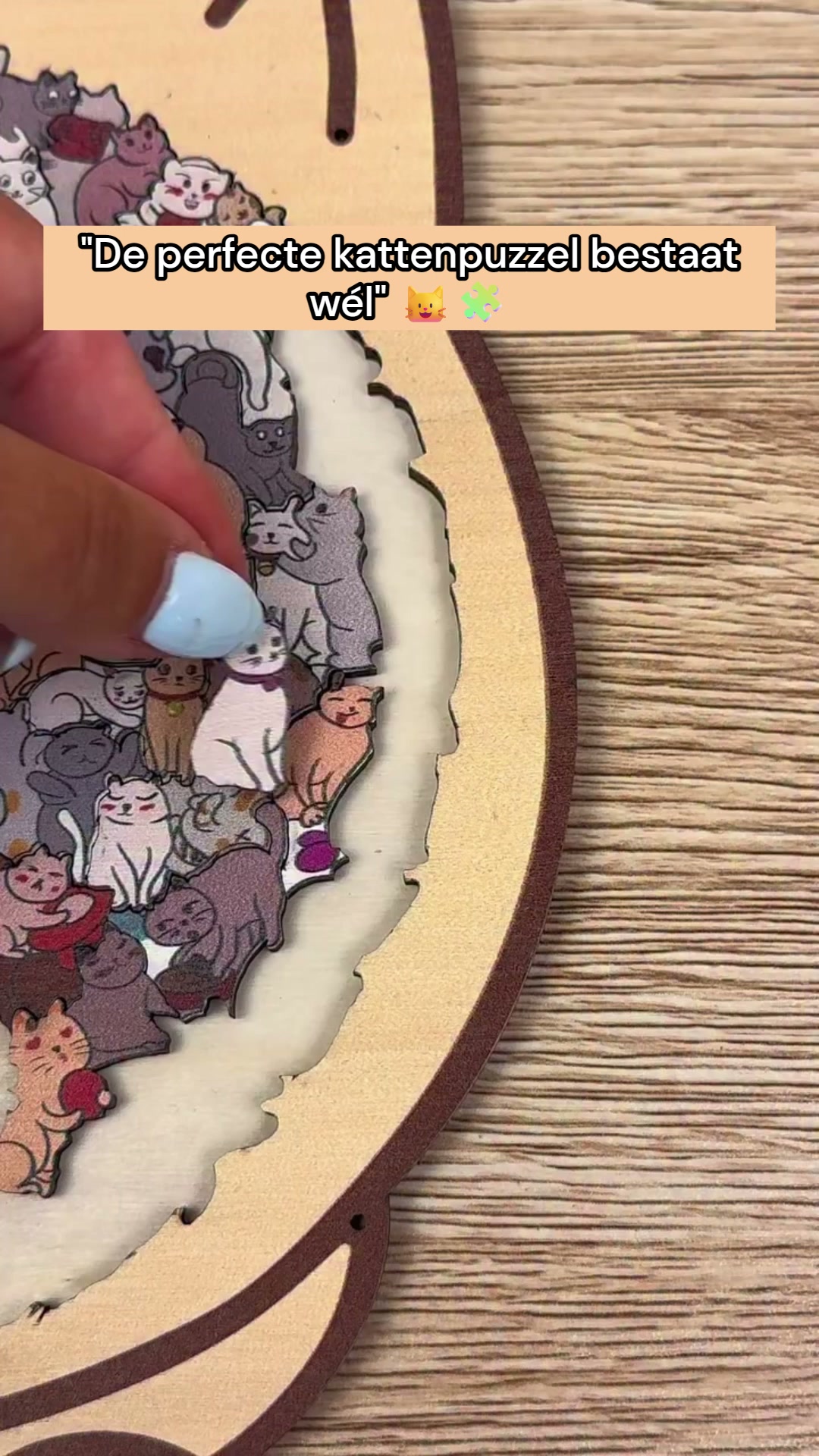 Een puzzel vol katten