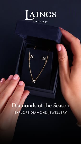 Explore Our Collections