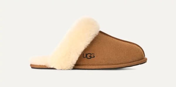 Ugg Fans