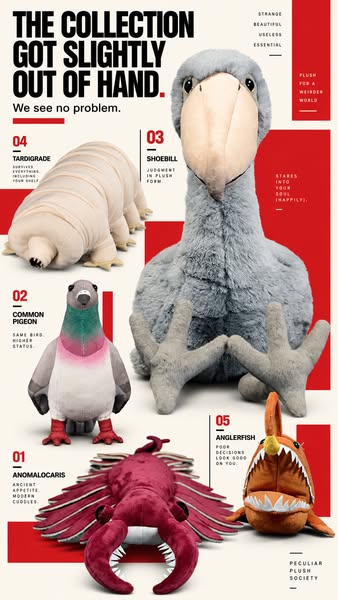 A Collection For The Unusually Curious