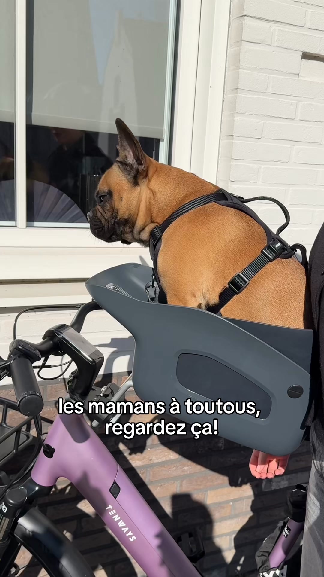 Offre limitée : 20 € de réduction