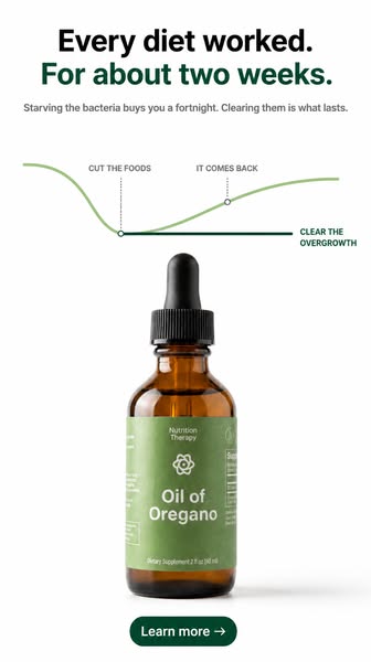 Explore The Power of Oil of Oregano Today!