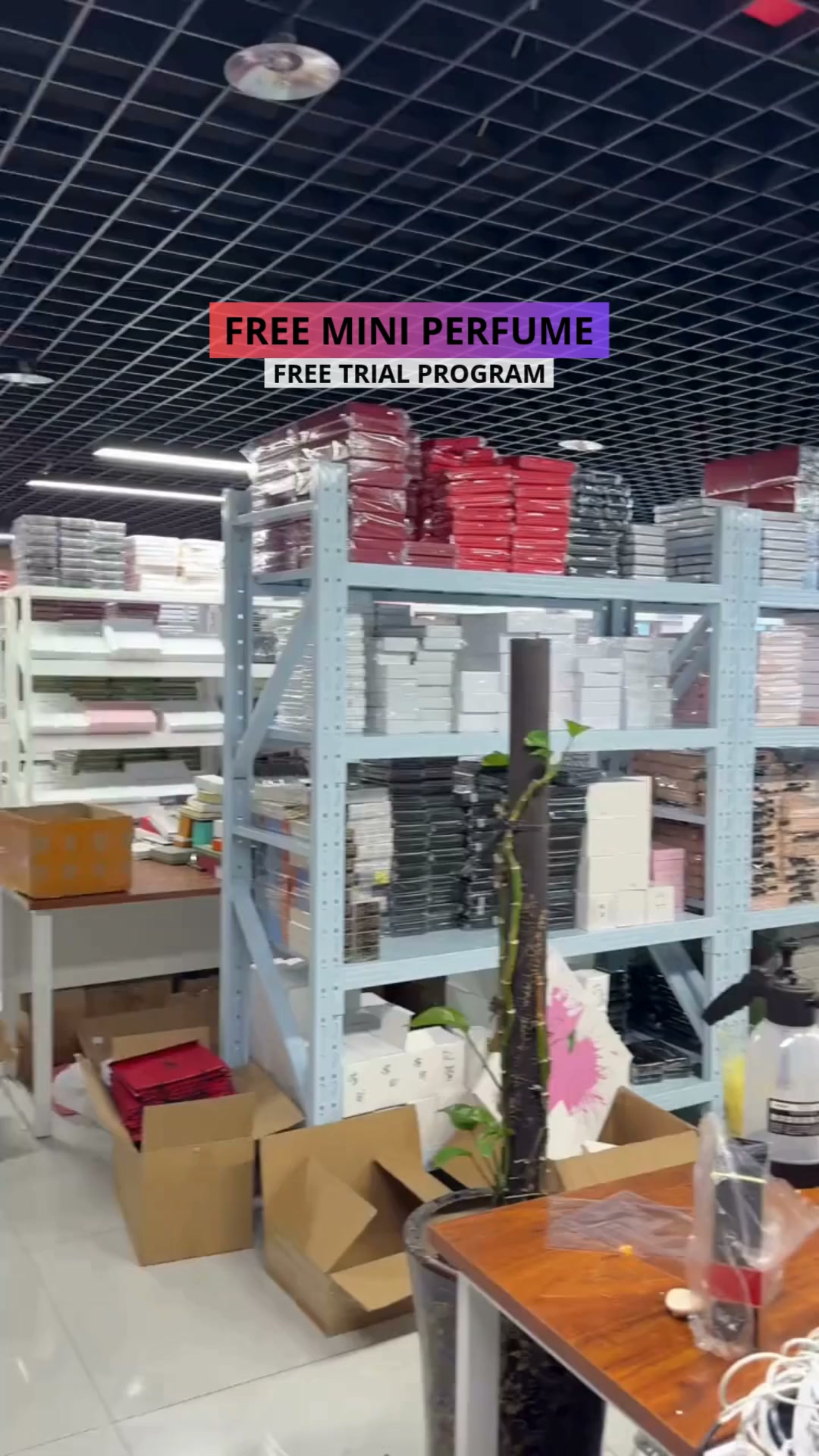 Try SHEIN Mini Perfumes for FREE