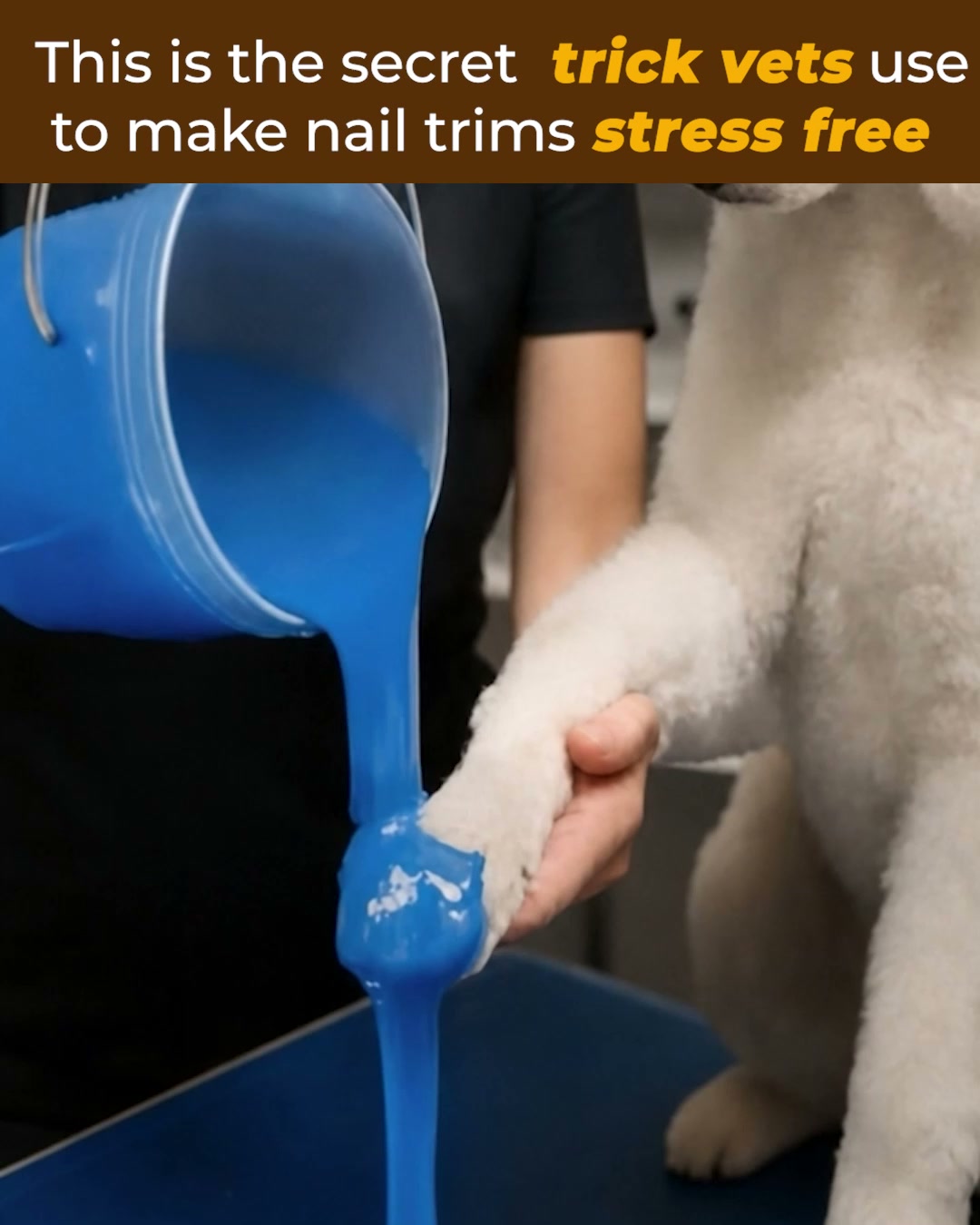 NailHero - See The Quick Before You Cut!