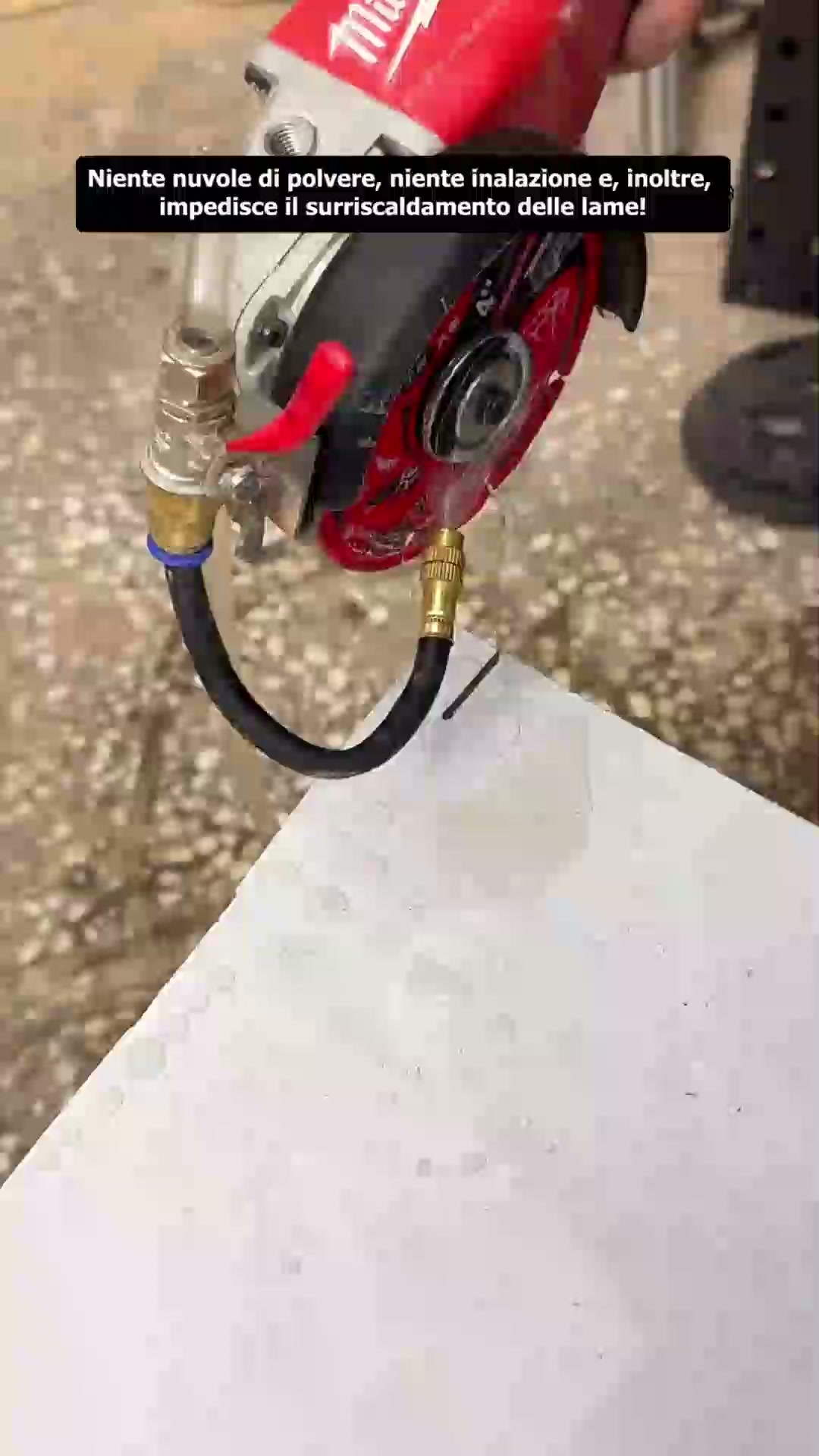 Scorte Limitate