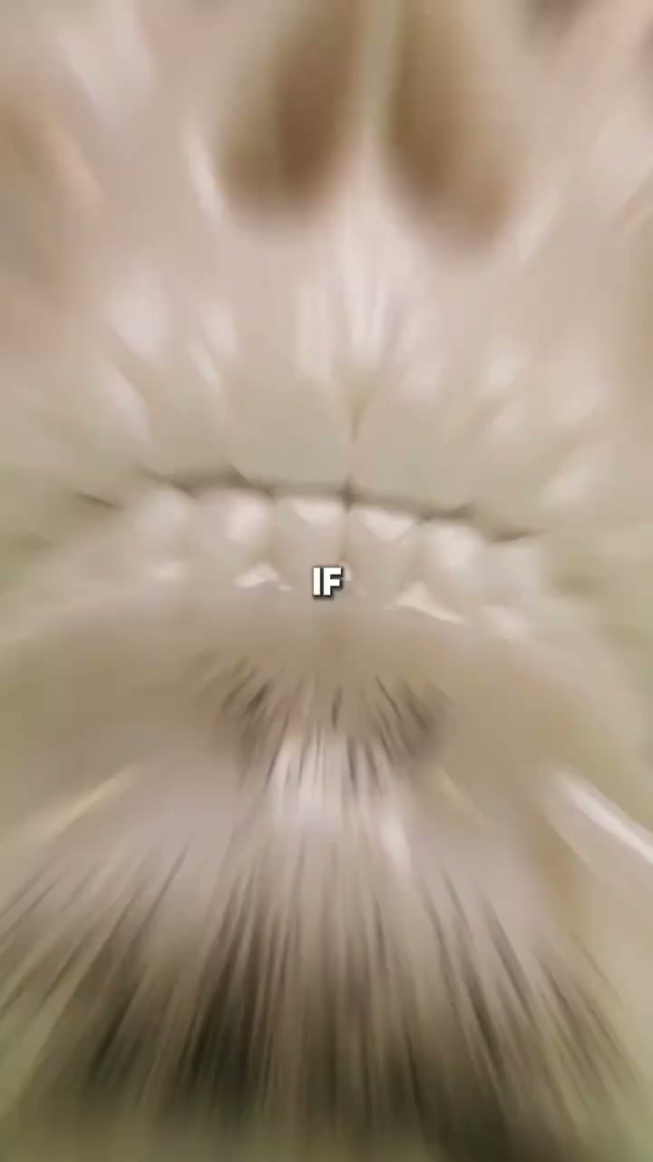 Leva a tua barba a outro nível.