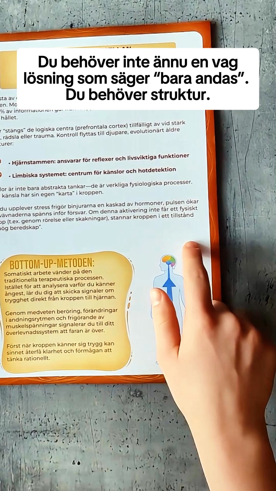 Workbook för Somatisk Terapi