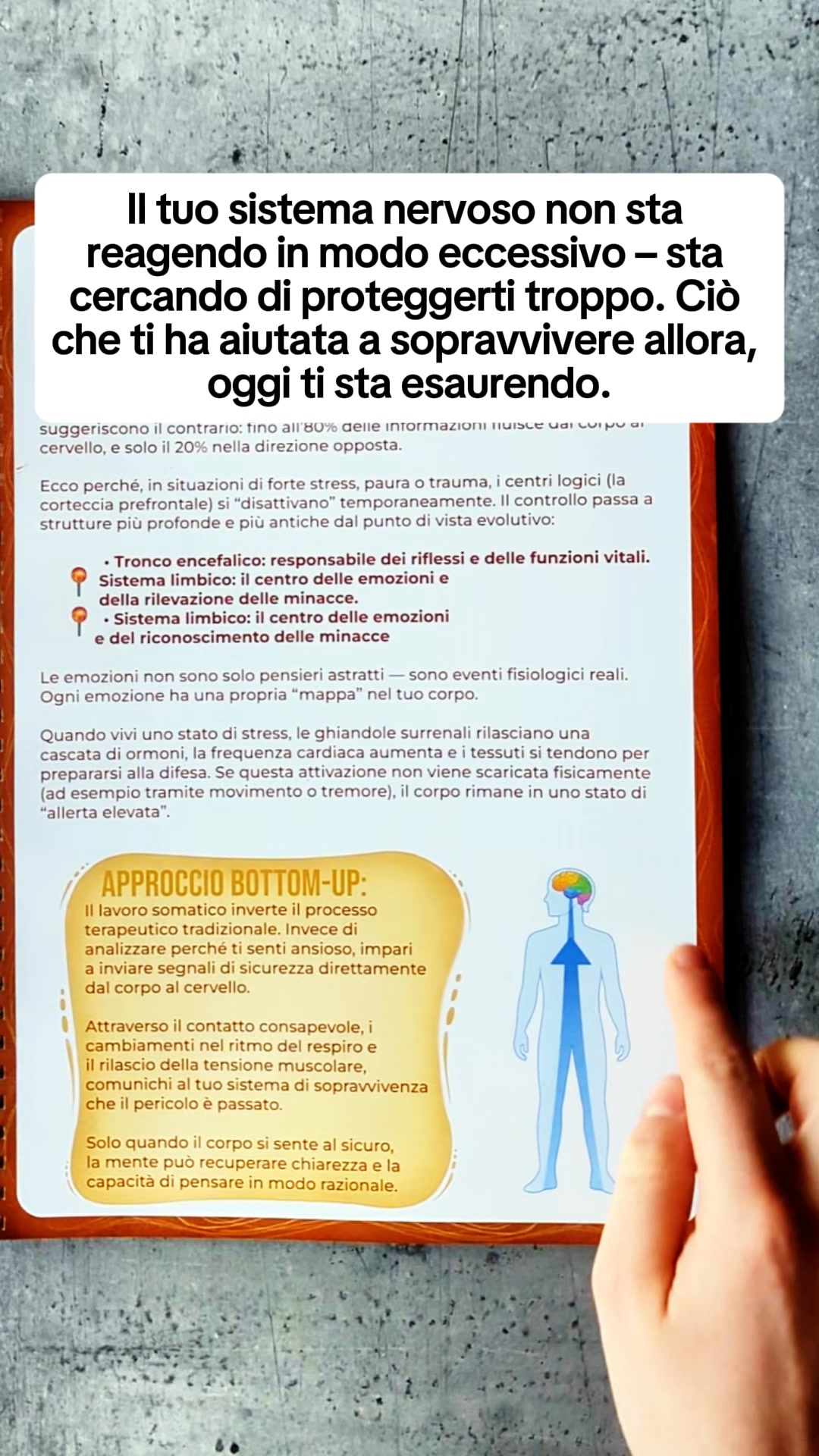 Workbook di Terapia Somatica
