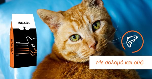 Ανακάλυψέ την εδώ