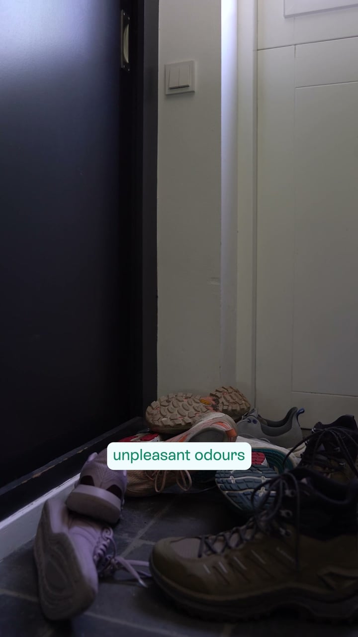 Try Shoefresh for 90 Days