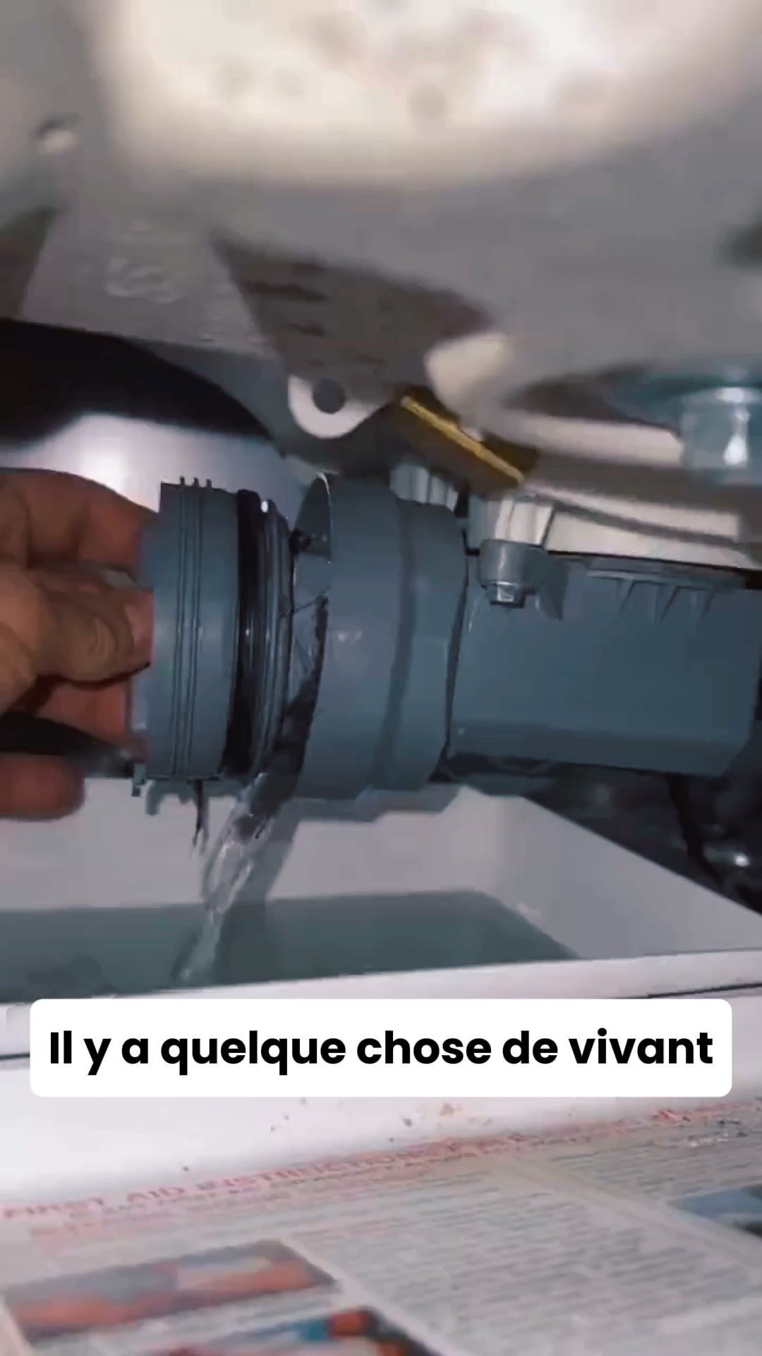Fini les bactéries et les odeurs d'animaux dans ta machine à laver