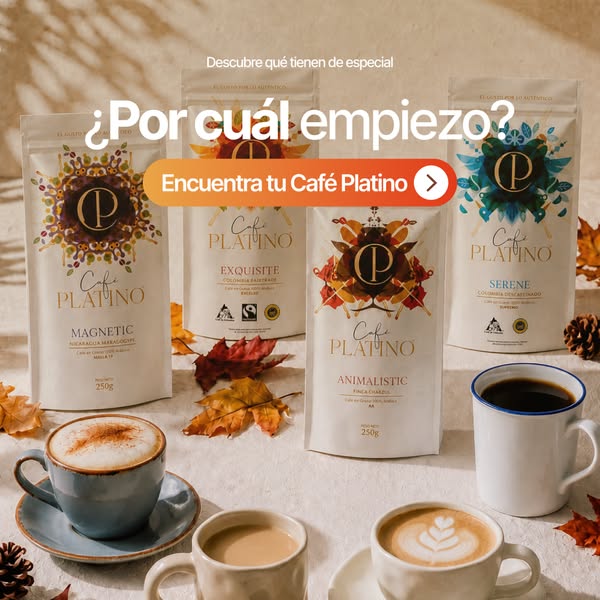 Encuentra tu café