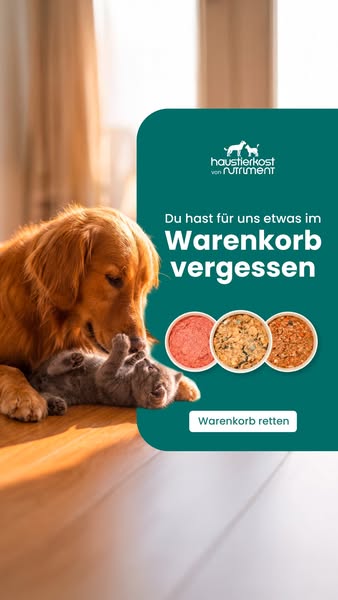 Schon das Richtige gefunden?