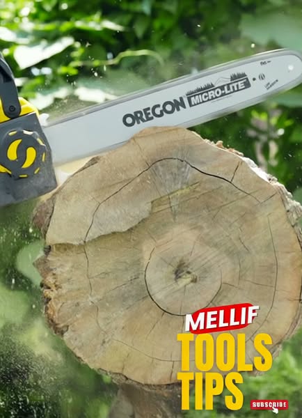 Cordless Power Tools for Every Task