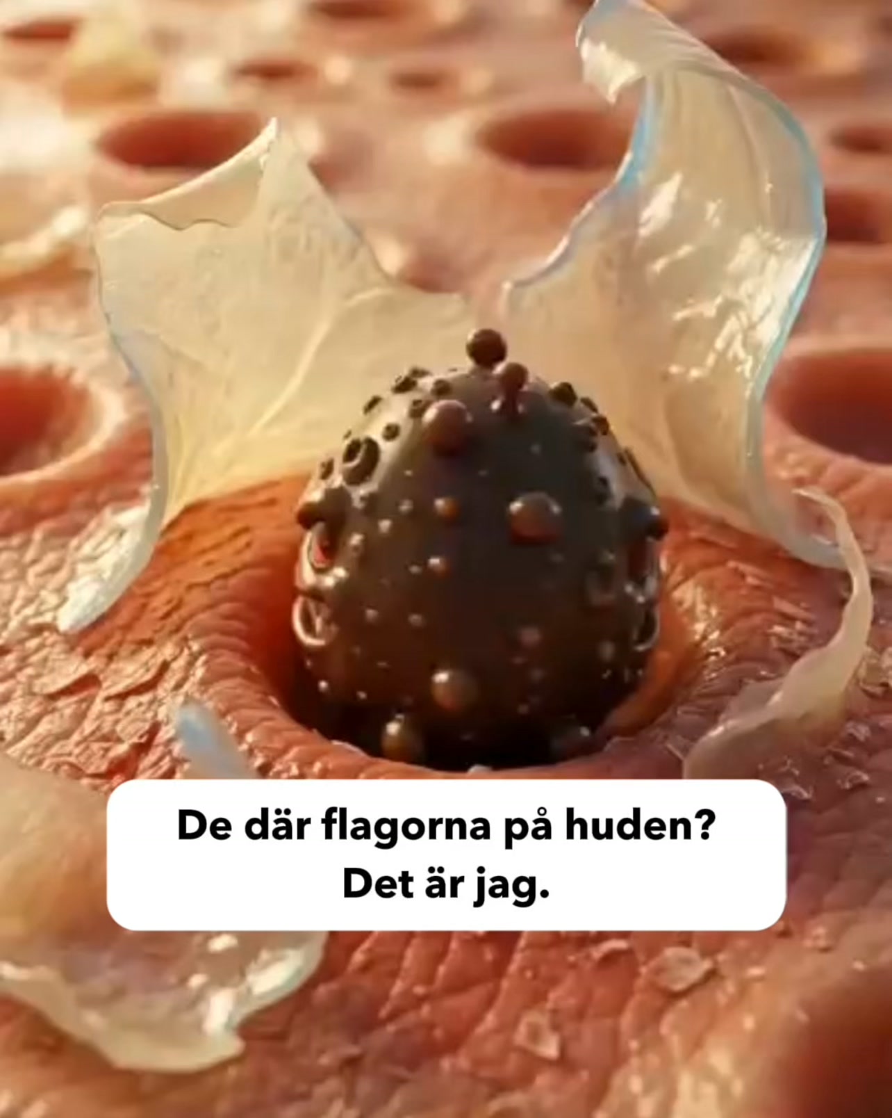 Mata den eller svält ut den. Du väljer.